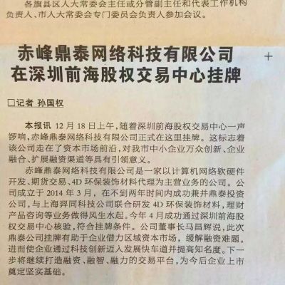 赤峰鼎泰網絡科技有限公司
